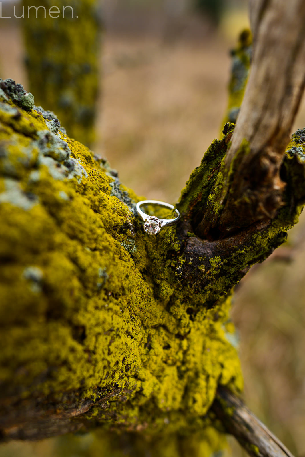 northfield engagement session, st. olaf engagement photography, st. olaf, minnesota, engagement, daryl, emma,