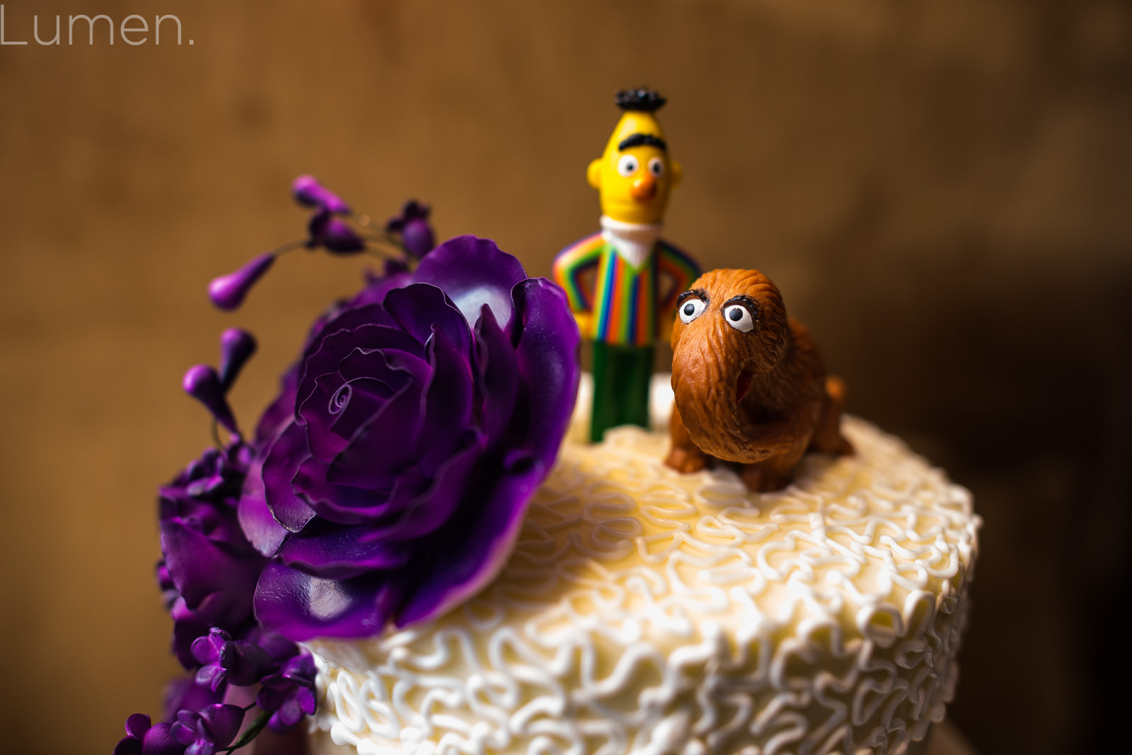 target field wedding photography, minnesota, twins, baseball, minneapoilis, minnesota, lumen, adventurous, couture, 