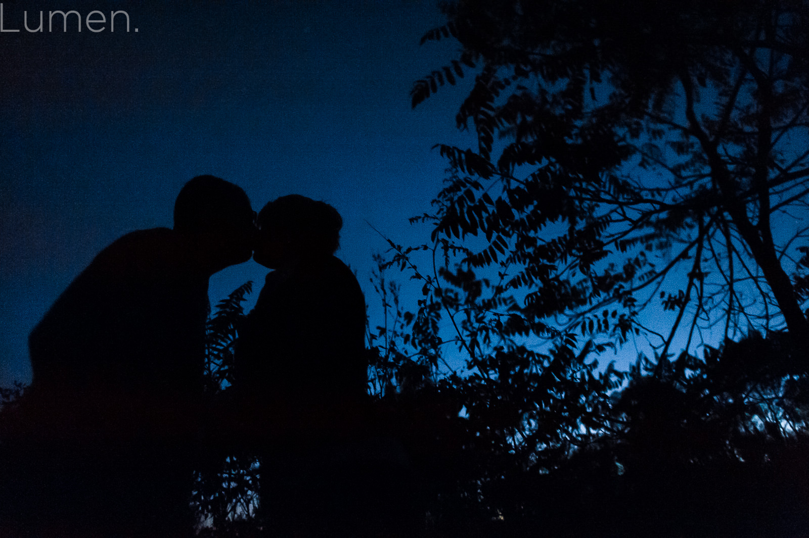 lumen photography, adventurous, couture, minneapolis engagement photography, minnesota, birch tree, aspen trees 