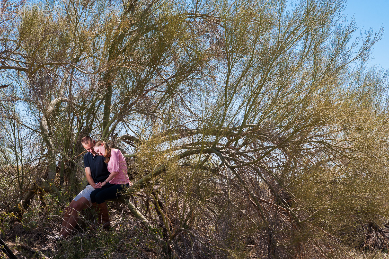 lumen photography, arizona engagement photography, adventurous photography, couture, minnesota, arizona, destination engagement, desert, cactus, erin, matt, phoenix