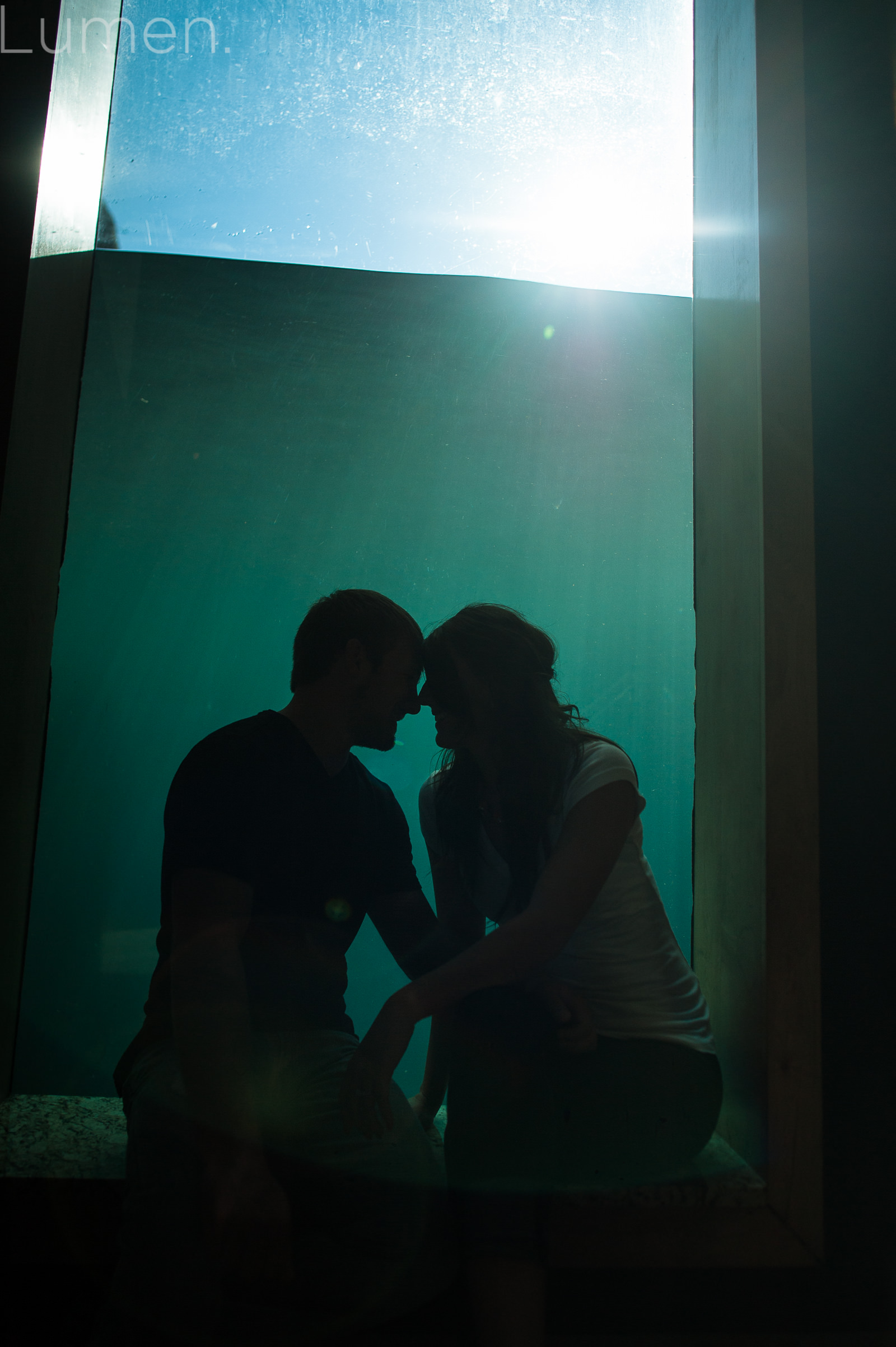 como zoo engagement session, adventurous  engagement photography,  st. paul, minnesota, minneapolis, lumen photography, shelby, josten