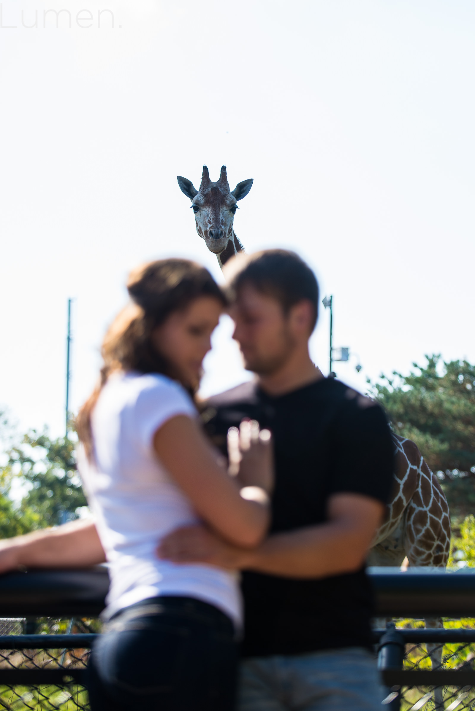 como zoo engagement session, adventurous  engagement photography,  st. paul, minnesota, minneapolis, lumen photography, shelby, josten