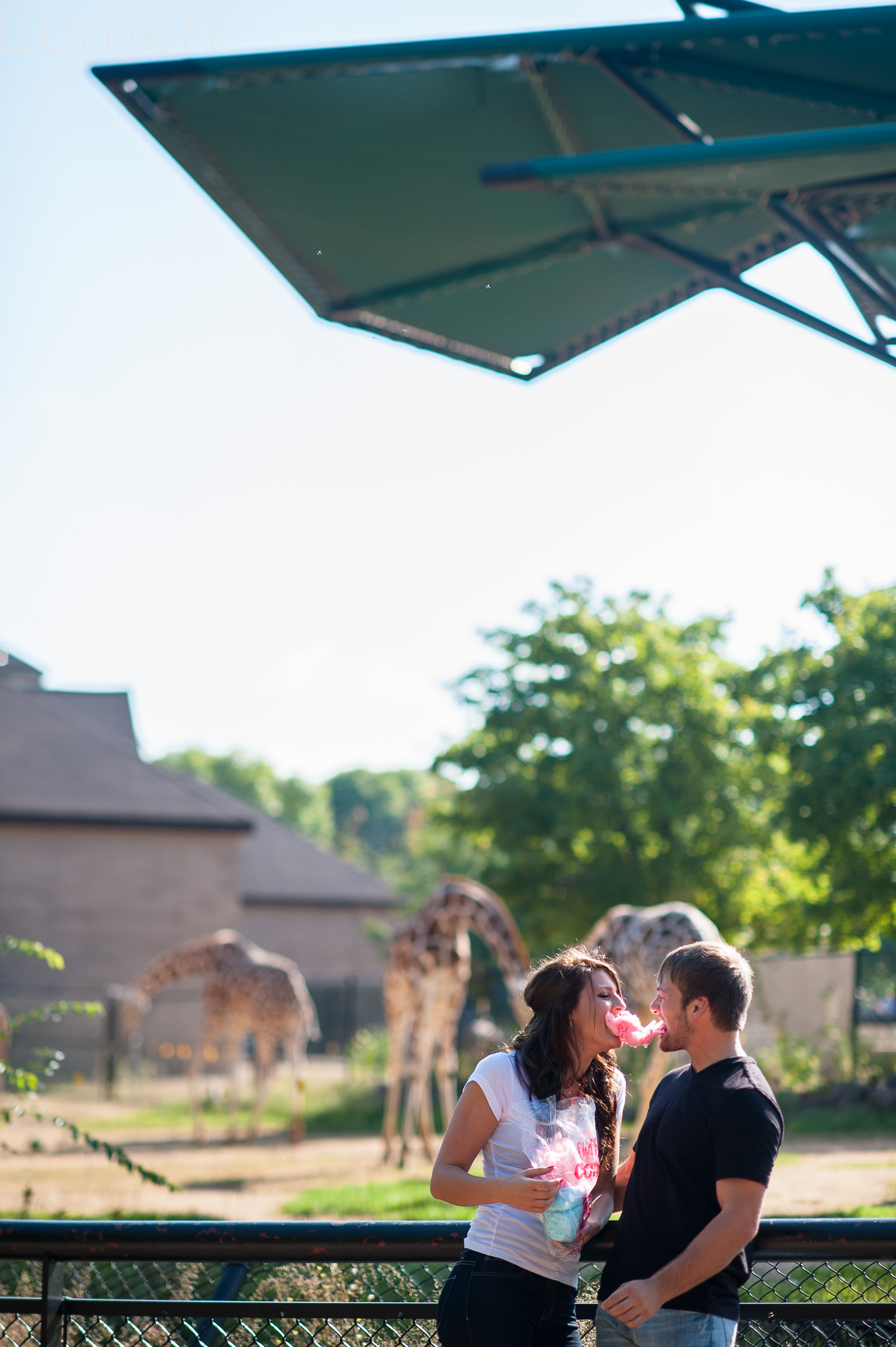 como zoo engagement session, adventurous  engagement photography,  st. paul, minnesota, minneapolis, lumen photography, shelby, josten