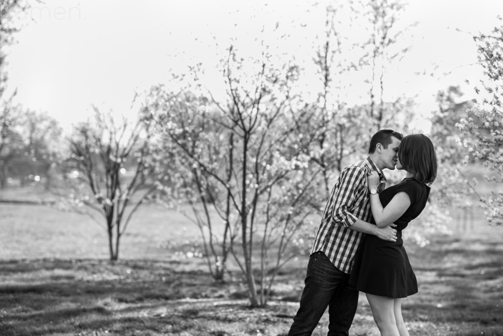 lumen, photography, adventurous, st. louis, missouri, minneapolis, minnesota, forest park, st. louis mo engagement session