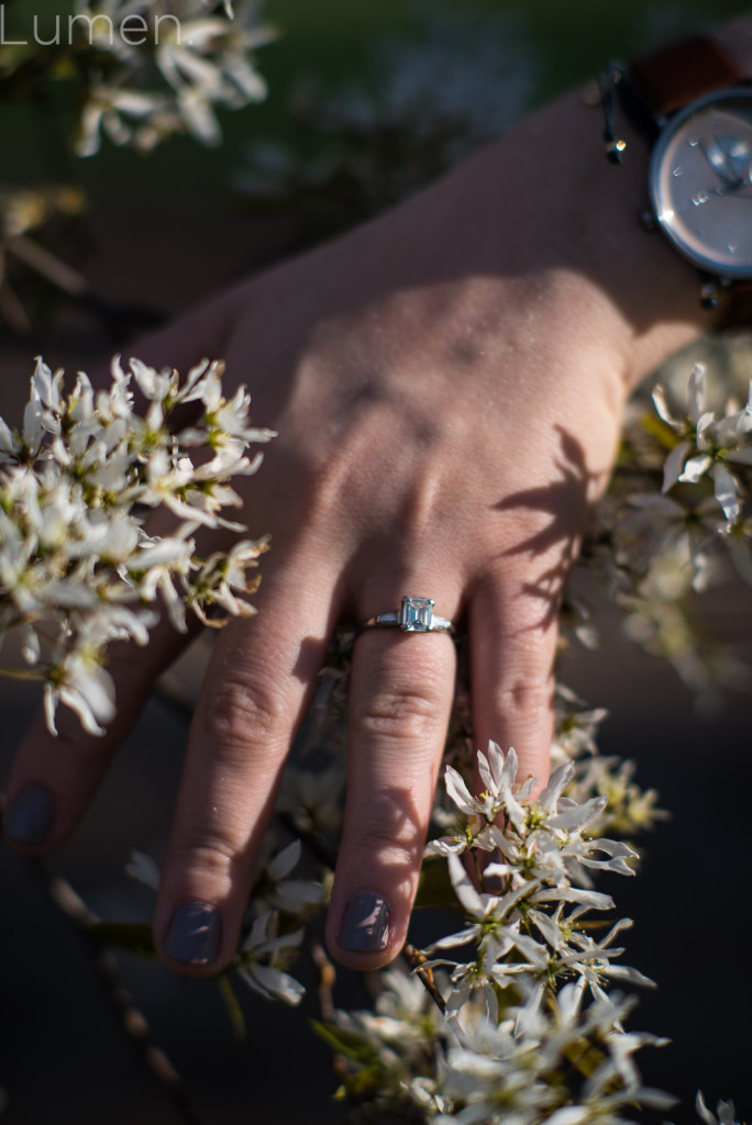 lumen, photography, adventurous, st. louis, missouri, minneapolis, minnesota, forest park, st. louis mo engagement session