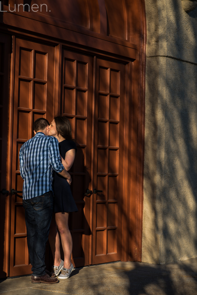 lumen, photography, adventurous, st. louis, missouri, minneapolis, minnesota, forest park, st. louis mo engagement session